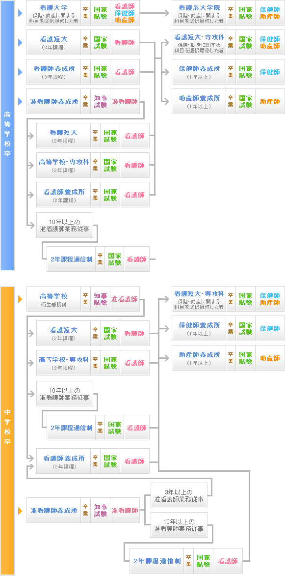 看護職になるための進路体系