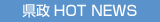 ����HOT NEWS