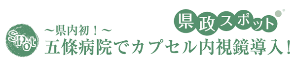 スポット