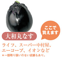 大和丸なす