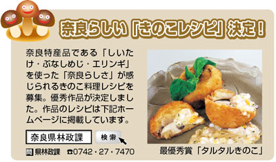 きのこレシピ