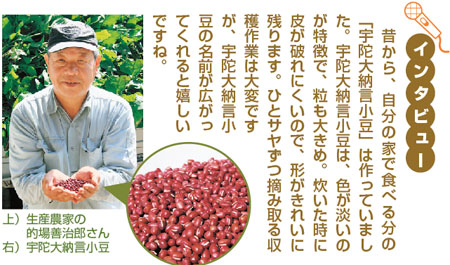 インタビュー