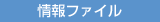 情報ファイル