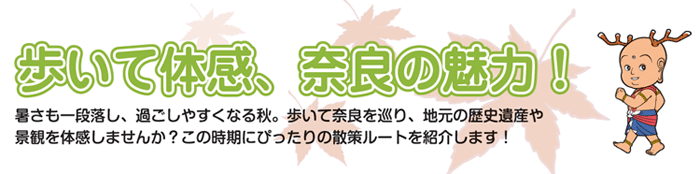 スポットタイトル