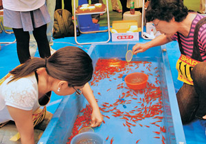 金魚 すくい 大会