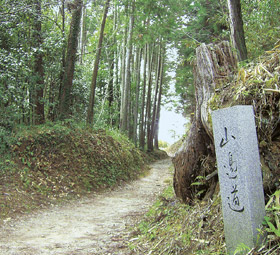山の辺の道
