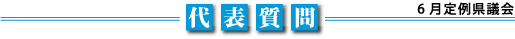 代表質問
