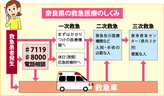 奈良県の救急医療の現状