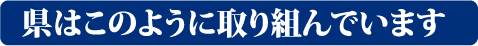 県はこのように取り組んでいます