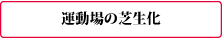 運動場の芝生化