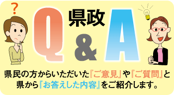 Q&A