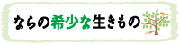 ならの希少な生きもの