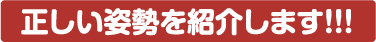 正しい姿勢を紹介します!!!
