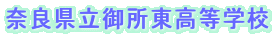 ޗǌ䏊wZ