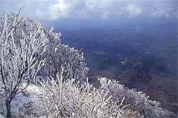 山頂展望台