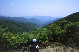 伯母子岳山頂(おばこだけさんちょう)