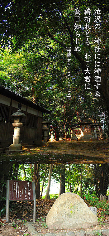 畝尾都多本神社　哭沢の杜