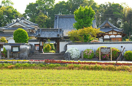 向原寺の境内地