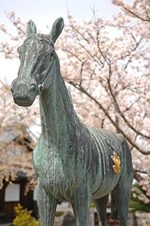 太子の愛馬「黒駒」の像