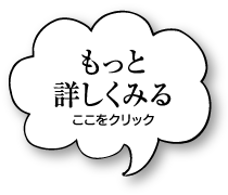 もっと詳しく見る