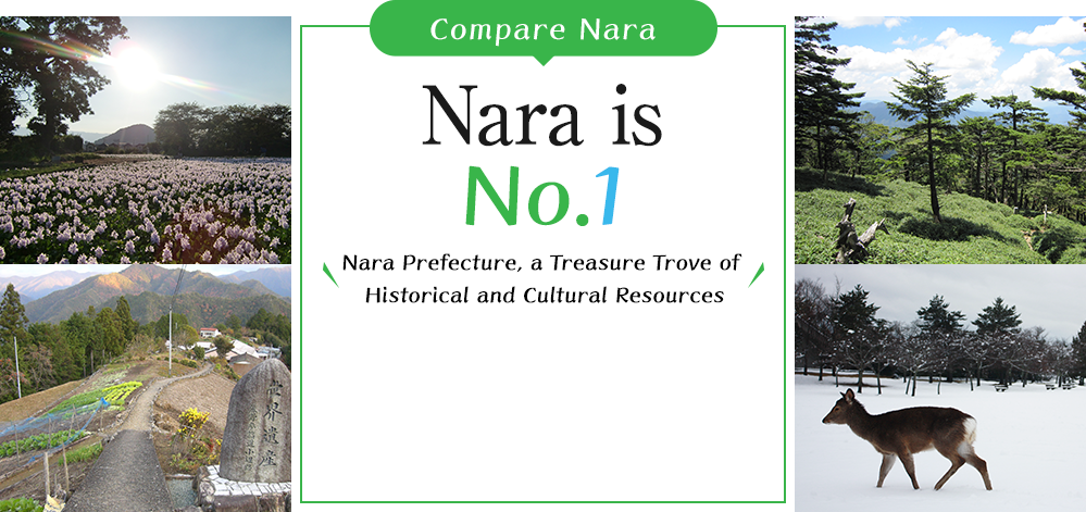 Compare Nara