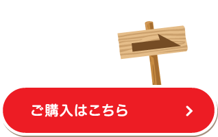 記紀・万葉プロジェクトのページに戻る