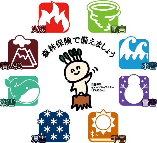 mamorukun