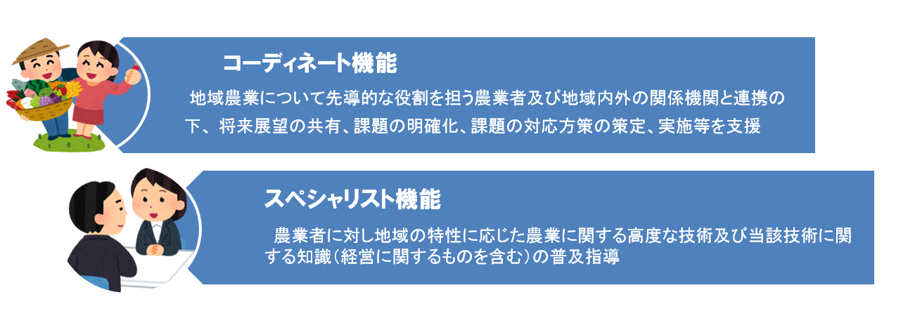 コーディネイト機能とスペシャリスト機能