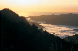 熊野灘、果無山脈が眺望できる玉置山展望台（十津川村）