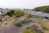 奈良文化財研究所　飛鳥資料館