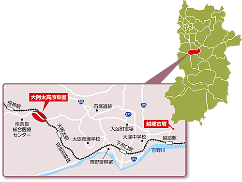 越部古墳・大阿太高原梨園の周辺地図