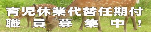 育児休業代替任期付職員リンク