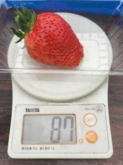 奈良9号(重さ)