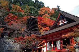 桜井市　談山(たんざん)神社