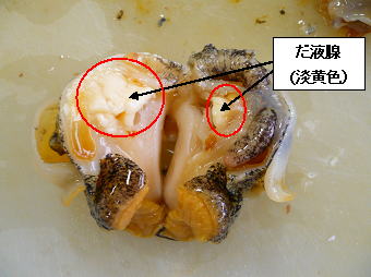 つぶ 貝 めまい 千葉市 つぶ貝 バイ貝 を食べる際には十分注意しましょう