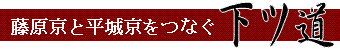 simotsumichi_title