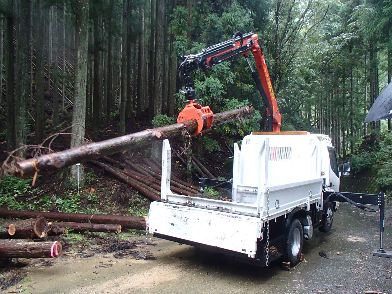 伐採した木をトラックに積んでいる写真
