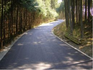 舗装された林道の写真