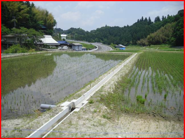 山添2