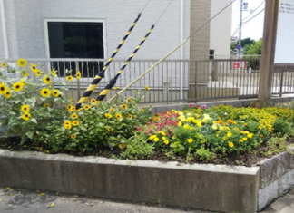 西ノ京高等学校