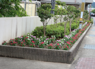 青翔高等学校