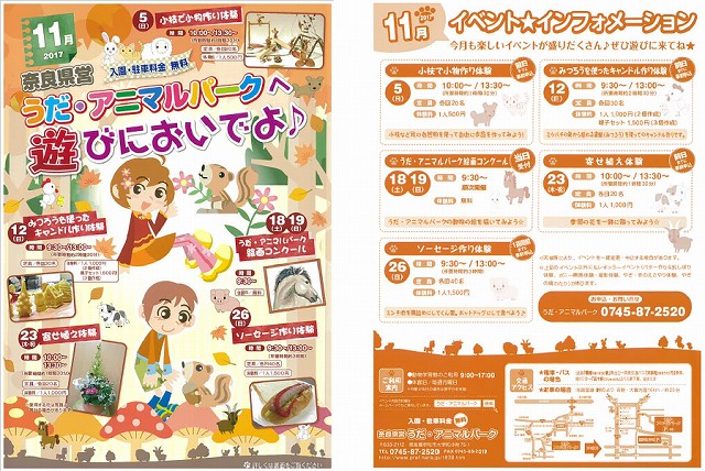 11月号ちらし