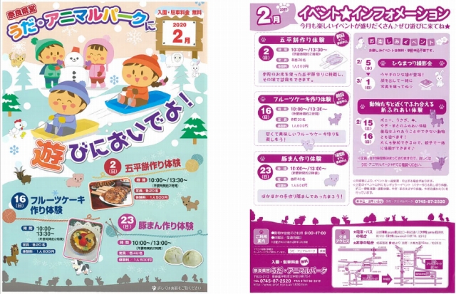 2月号ちらし