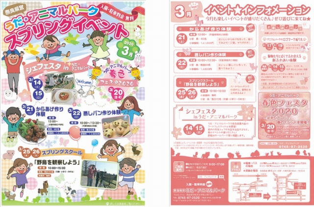 3月号ちらし