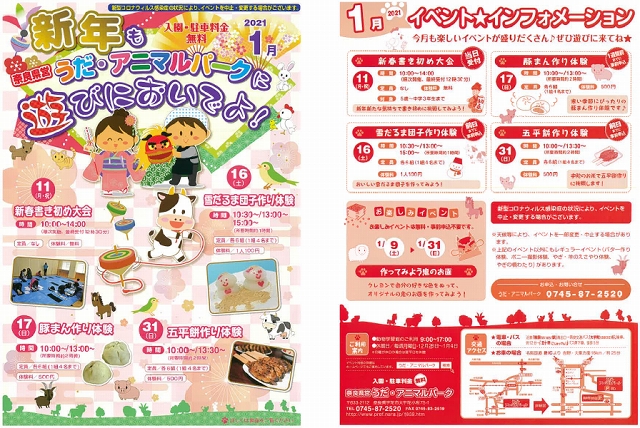 1月号ちらし