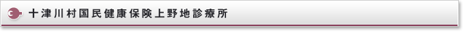 十津川村国民健康保険上野地診療所
