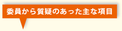 委員から質疑のあった主な項目