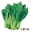 ܂