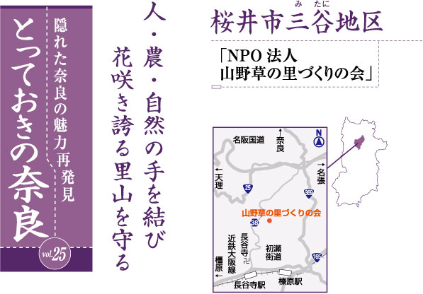 とっておきの奈良