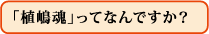 「植嶋魂」ってなんですか?
